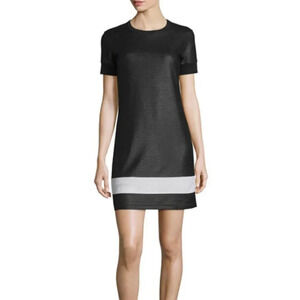 Rag & Bone Valerie Mesh Mini Dress